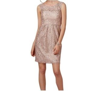 Jenny Yoo BDHLN Collection Sandstone Lace Cocktail Dress Size 8